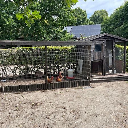 Completely Renovated Back Part Of A Farm Villa Uden Dış mekan fotoğraf