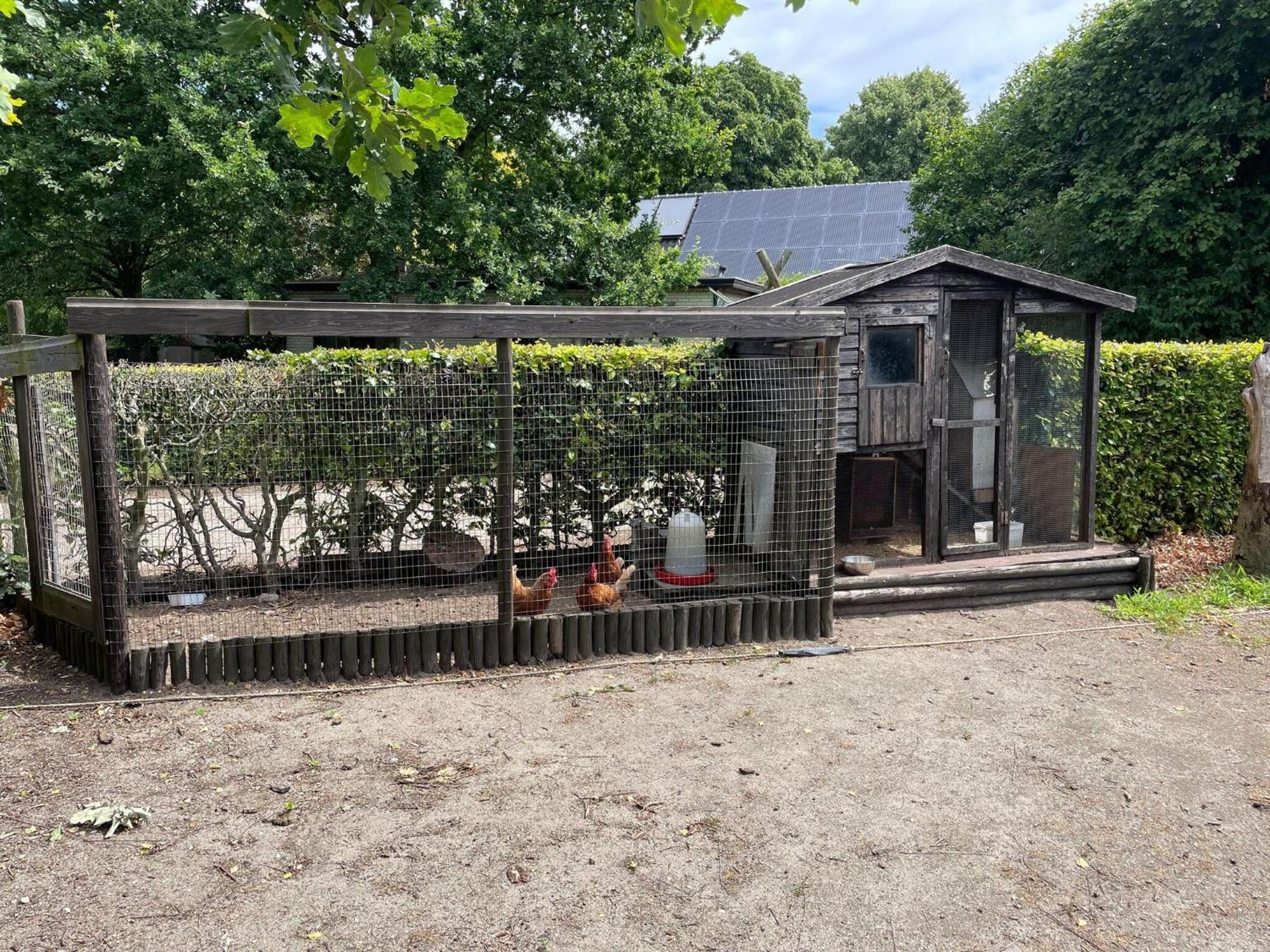 Completely Renovated Back Part Of A Farm Villa Uden Dış mekan fotoğraf